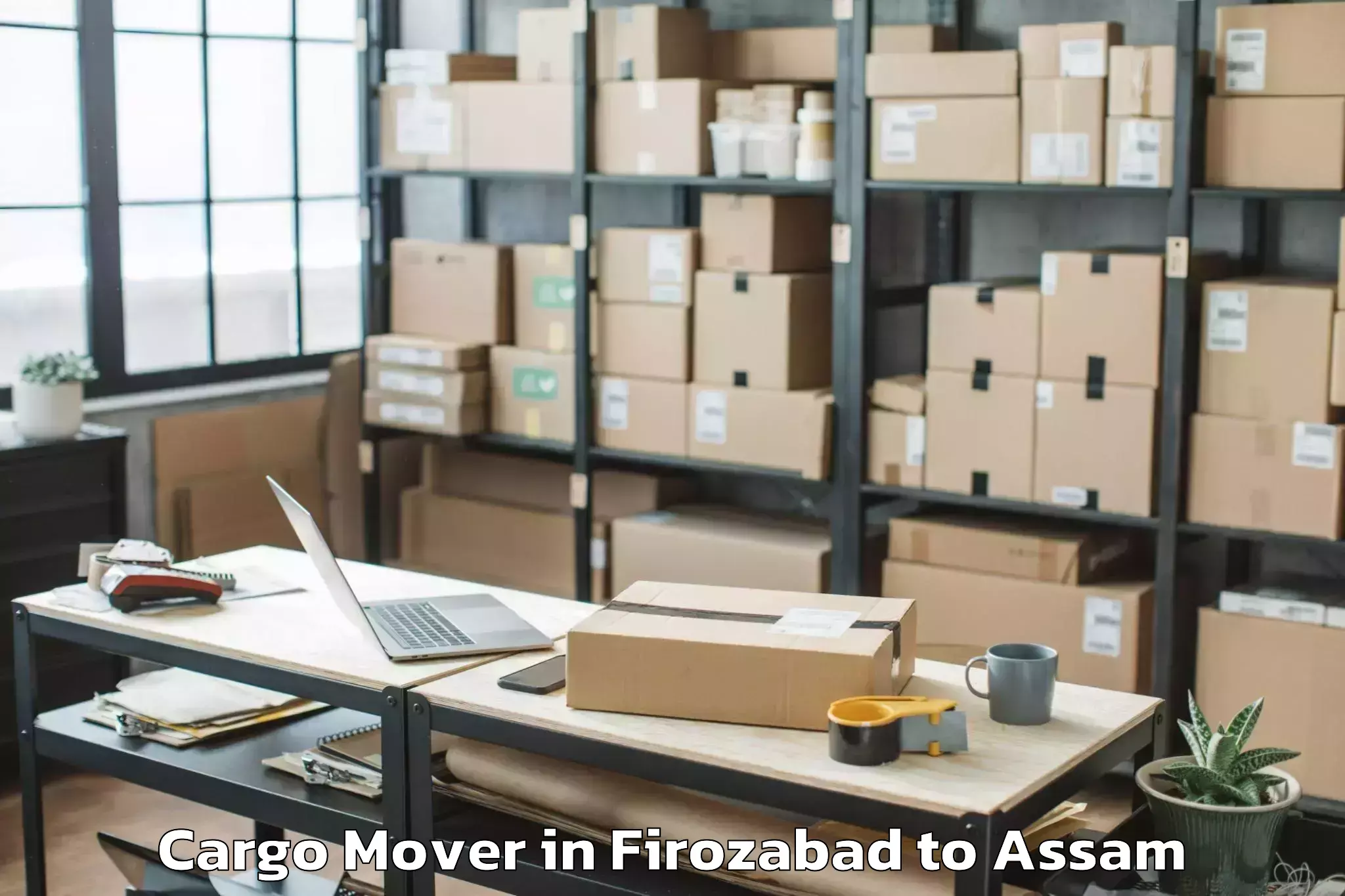 Hassle-Free Firozabad to Dokmoka Cargo Mover